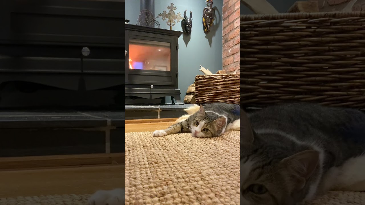 Whiskers and Warmth: Leopold Demands That We Put the Fires On