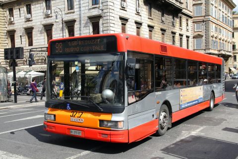 Bus
