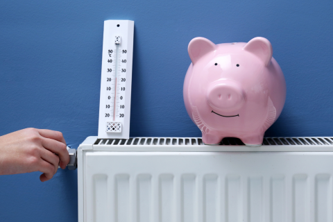 Navigating My First Year with Octopus Energy and Heat Pump Running Costs