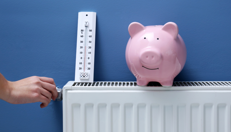 Navigating My First Year with Octopus Energy and Heat Pump Running Costs