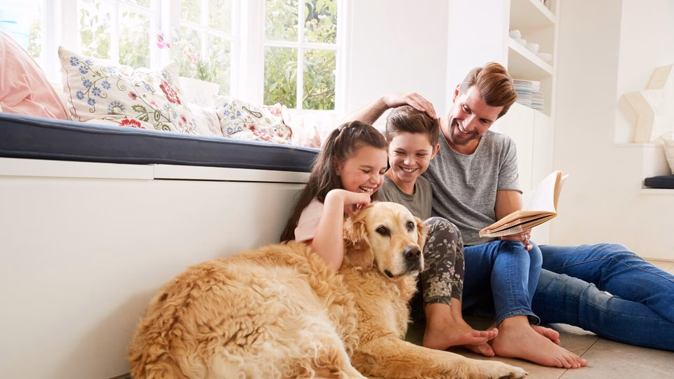 What Does a Quality Heat Pump Installation Look Like