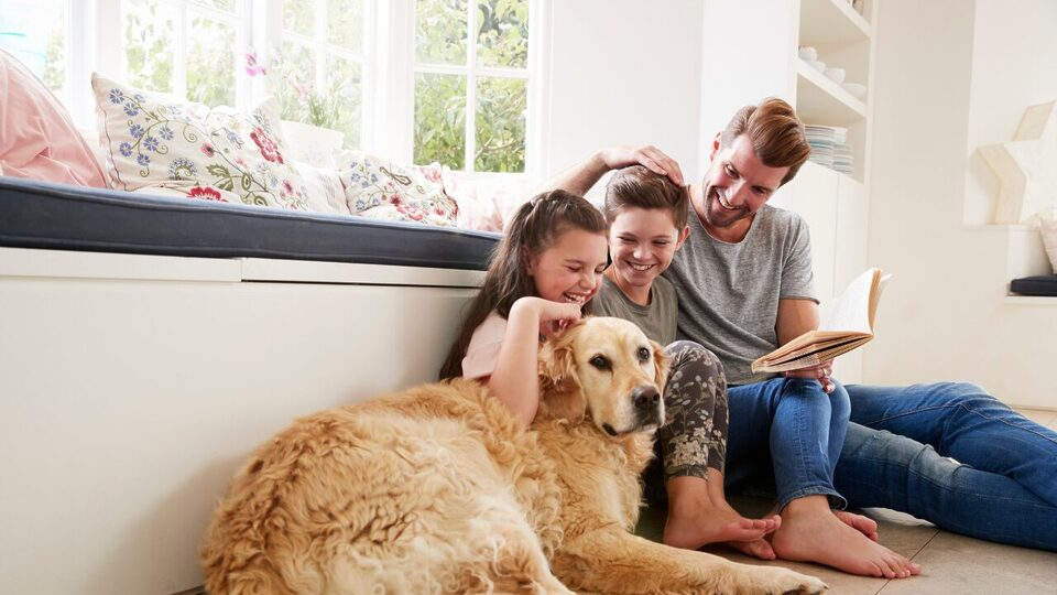 What Does a Quality Heat Pump Installation Look Like