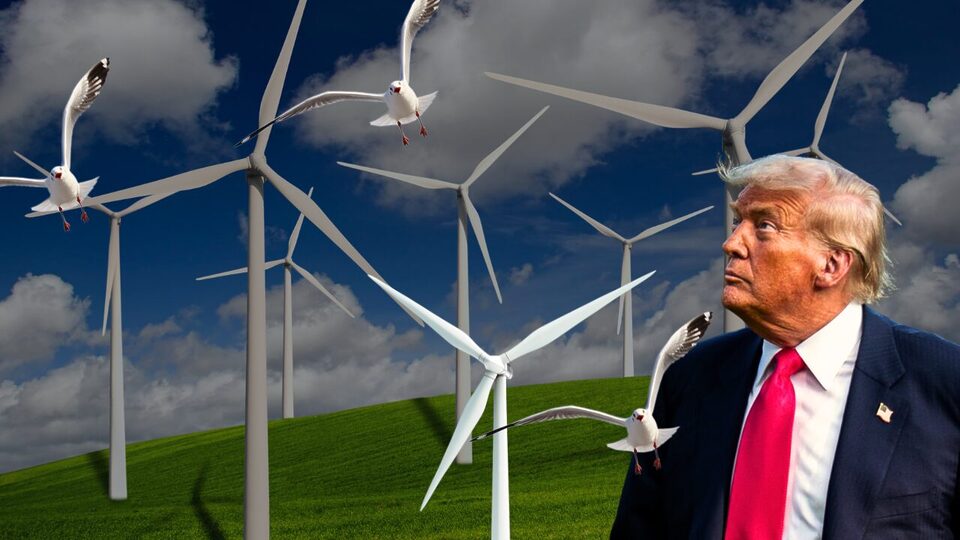 Are Wind Turbines Really Losers