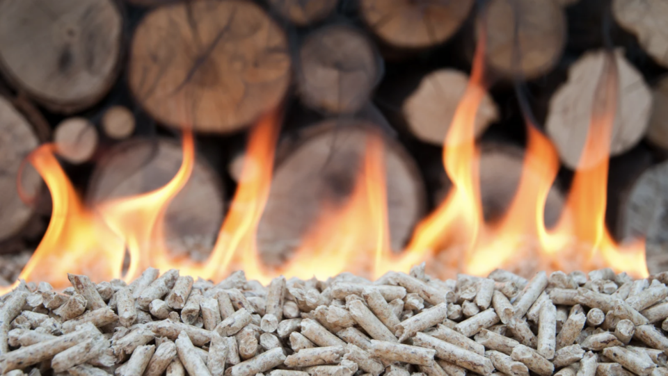 biomass