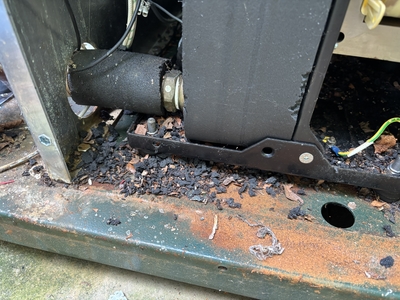 chewed insulation