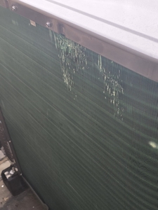Damage 1