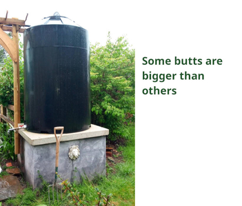Big butt Big butt