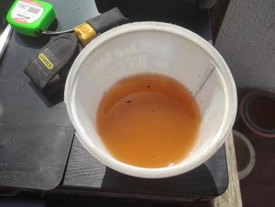 dirty water dirty water
