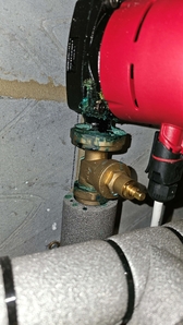 20250323 173215 20250323 173215