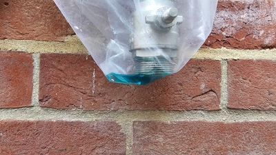 20250324 120258 20250324 120258