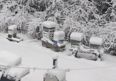 overview image 173529196 847488