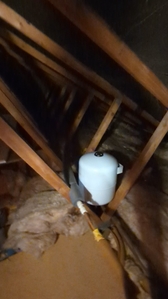 PXL 20250625 171048913.TS exported 9262